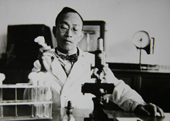 1955年，，汤飞凡主持的沙眼钻研小组分离出世界上第一株“沙眼衣原体”，，定名为TE8，，后在国际医学界引起巨大反映