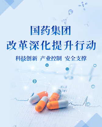鼎新深入提升行动