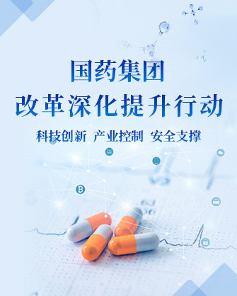 鼎新深入提升行动